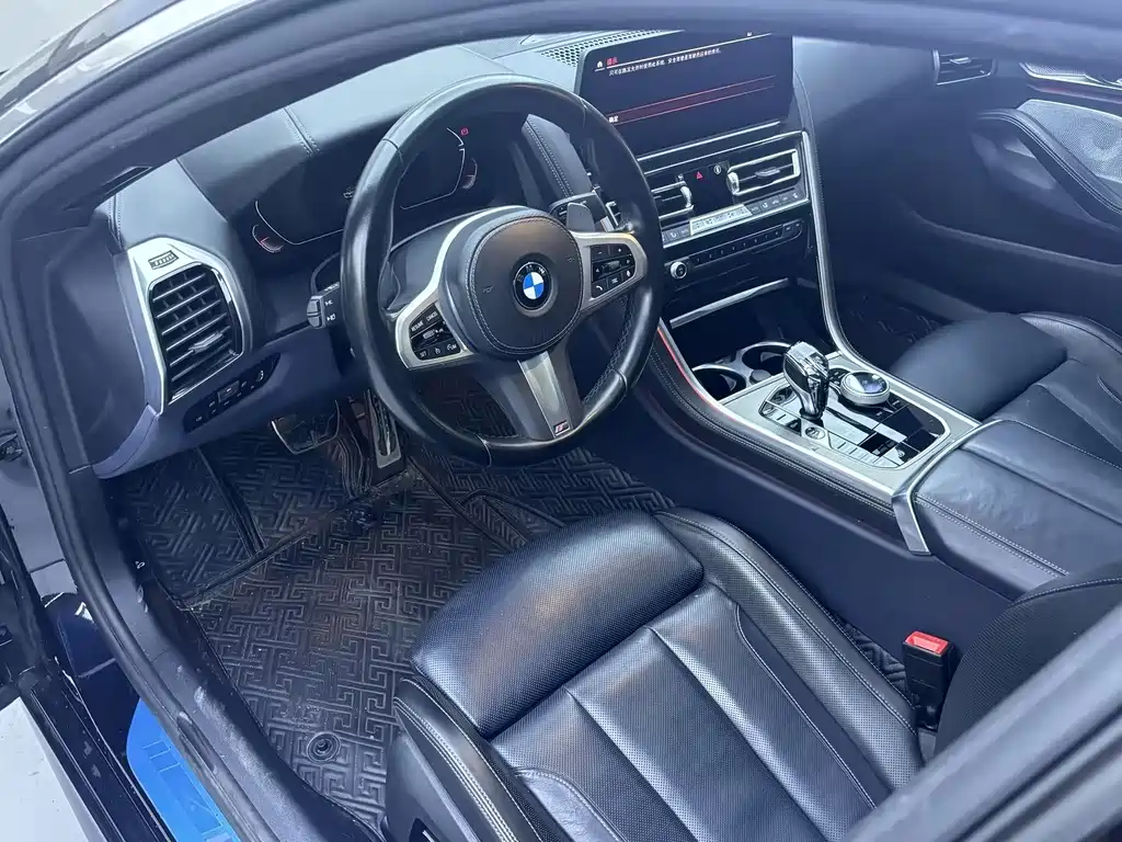BMW 8 Series — миниатюра 9
