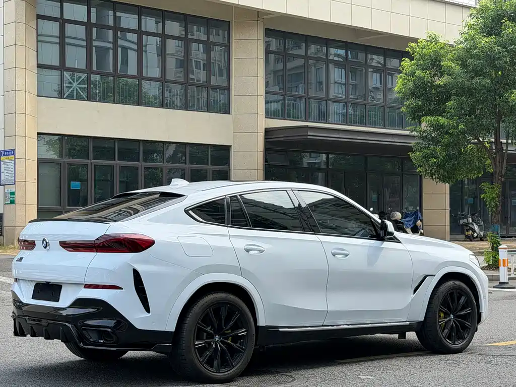 BMW X6 — миниатюра 19