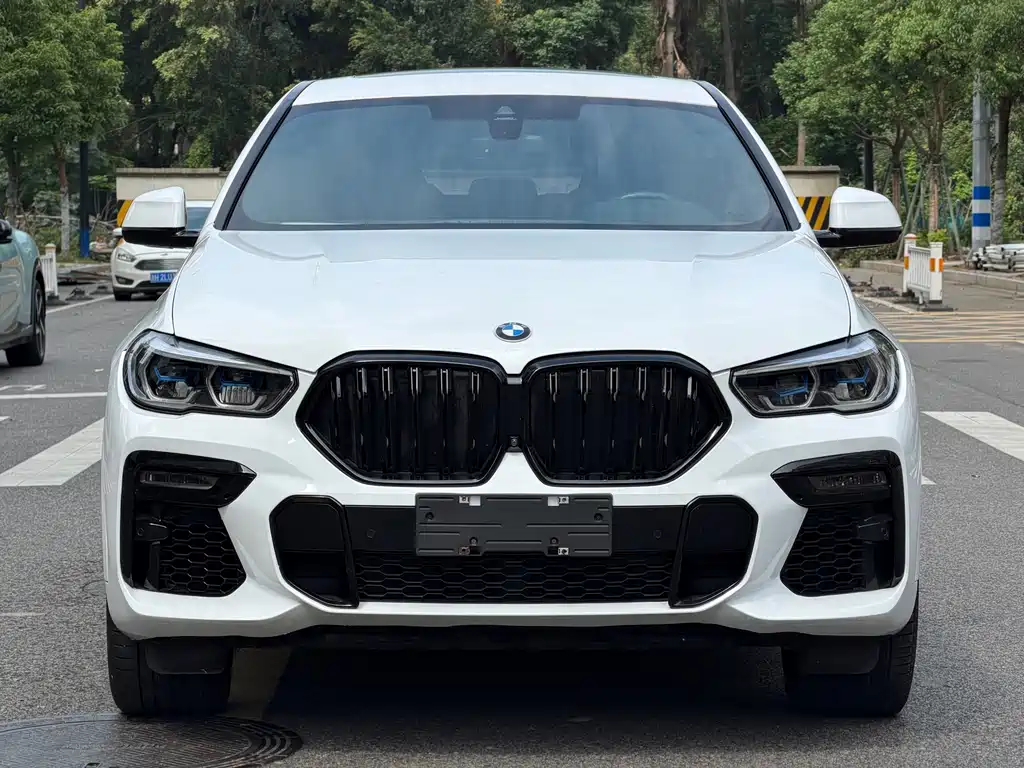 BMW X6 — миниатюра 2