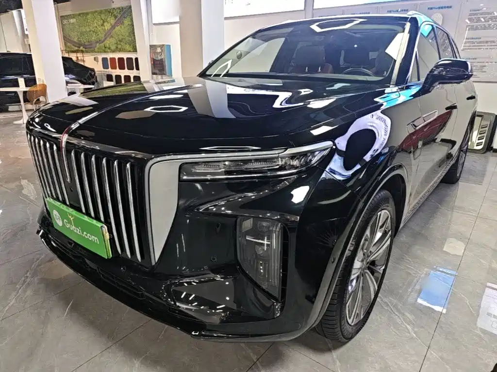 Hongqi Hongqi E-HS9 — миниатюра 2