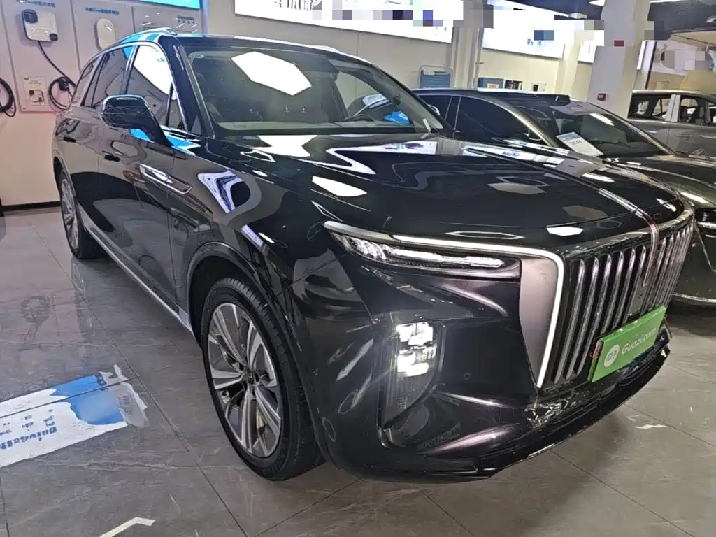 Hongqi Hongqi E-HS9 — миниатюра 4