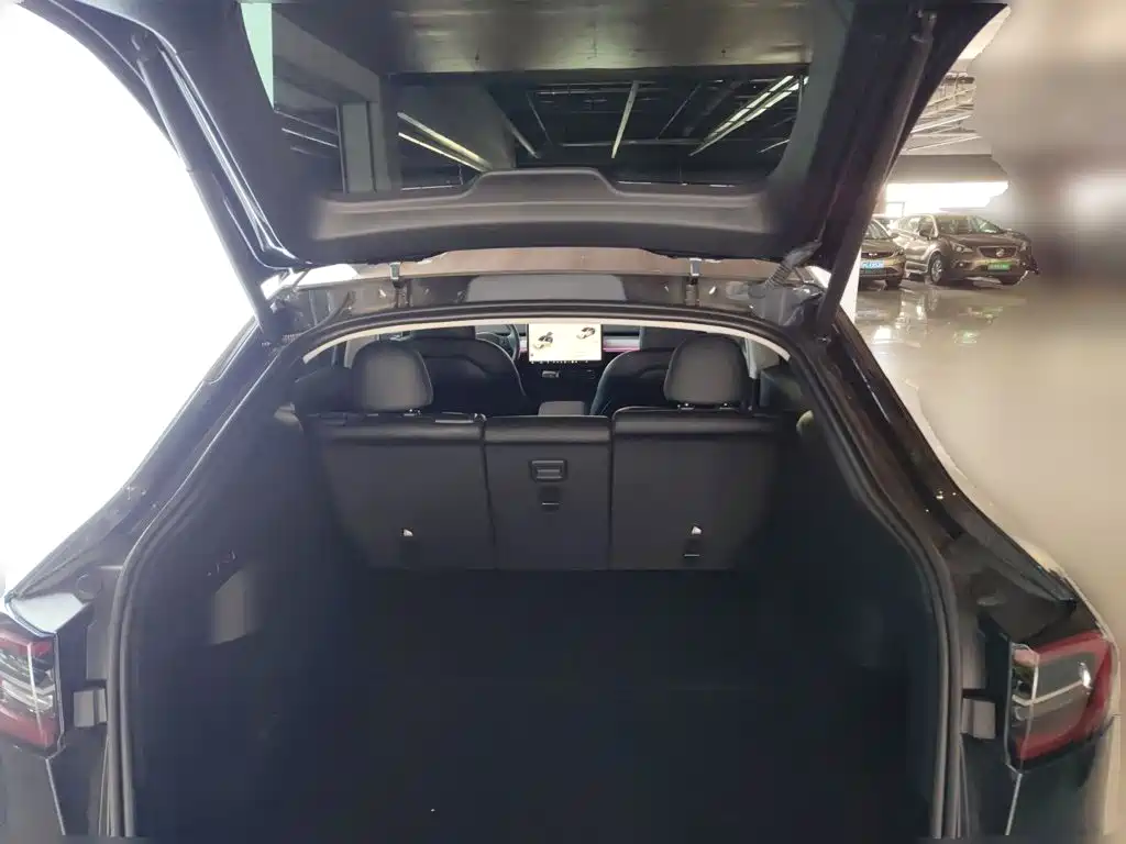 Tesla Model Y — миниатюра 16