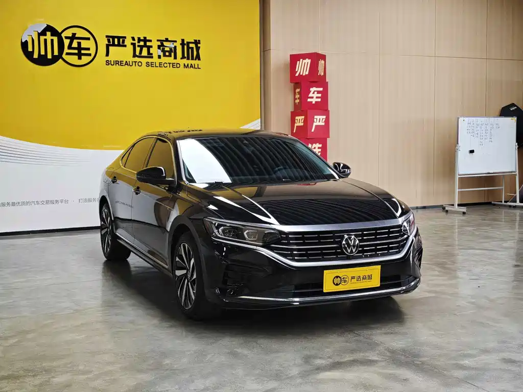 Volkswagen Passat — миниатюра 2