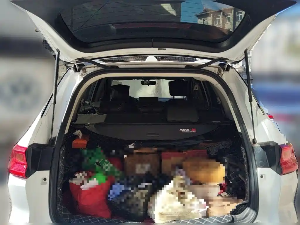 Haval M6 — миниатюра 15