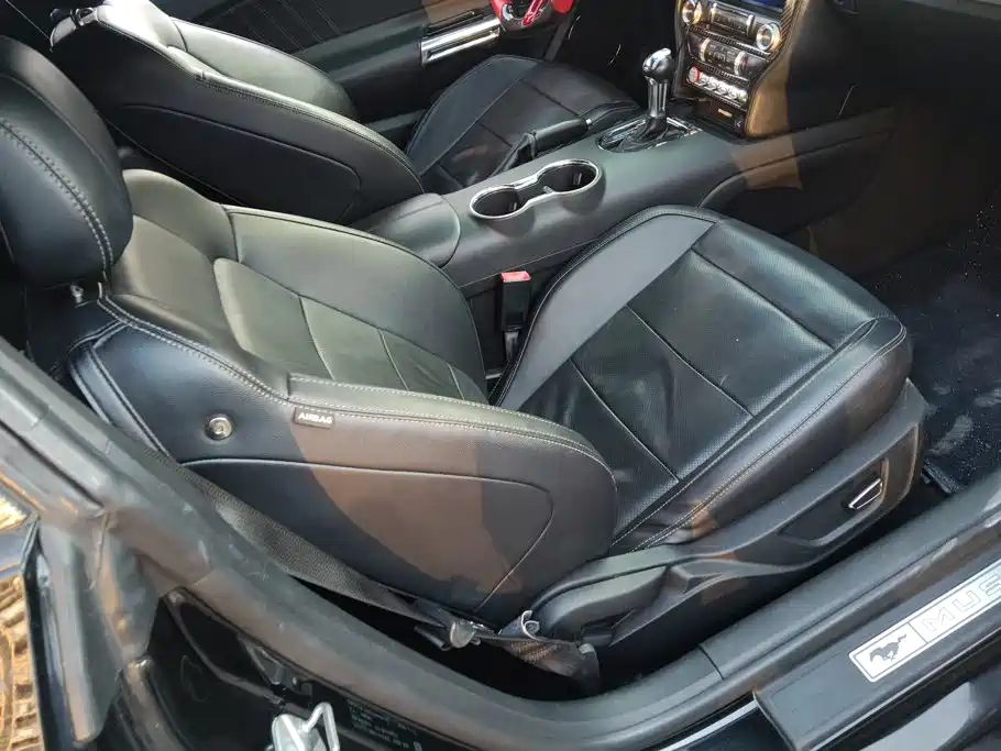 Ford Mustang — миниатюра 8