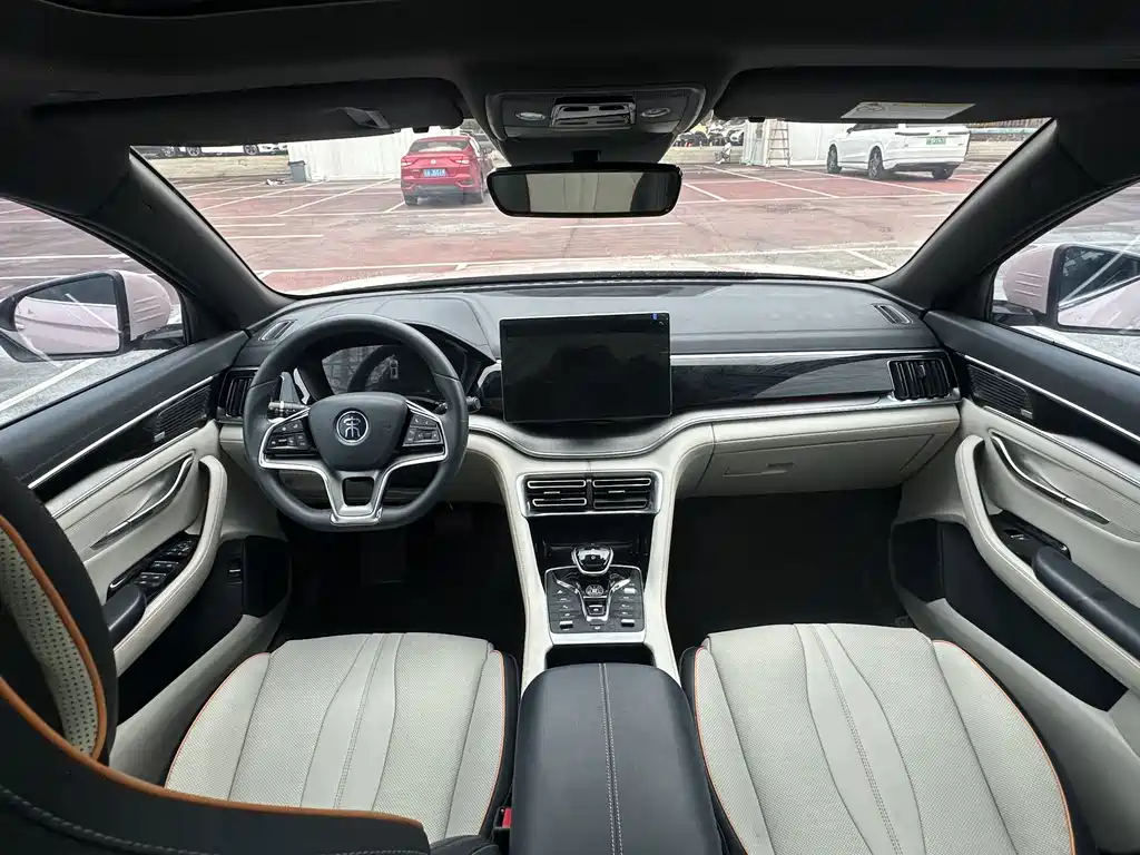 BYD PLUS New Energy — миниатюра 10
