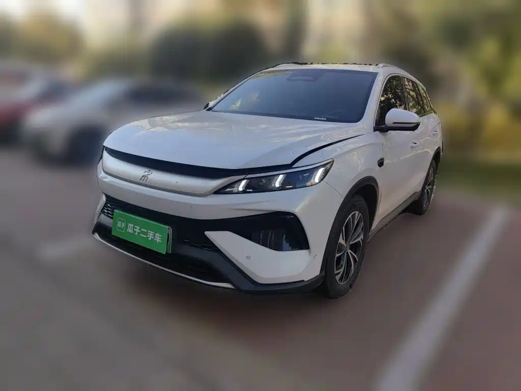 BYD Pro New Energy