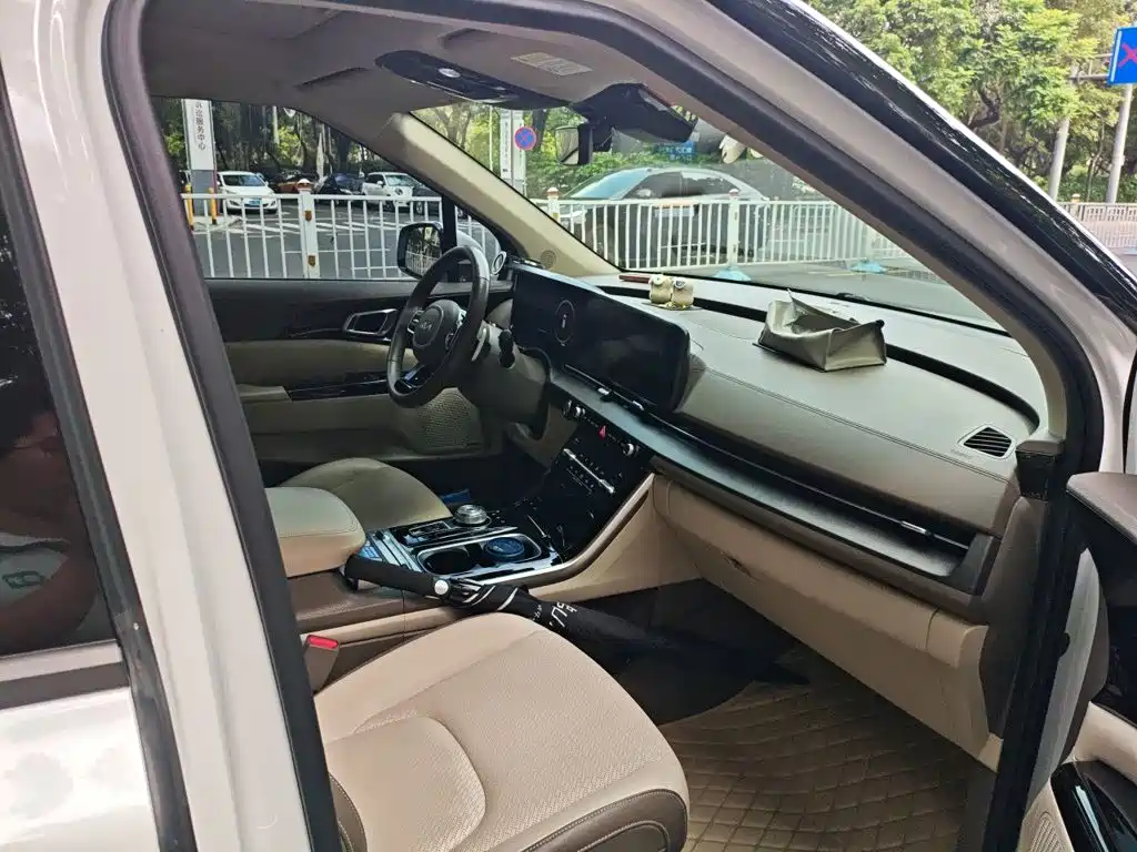 Kia Carnival — миниатюра 19