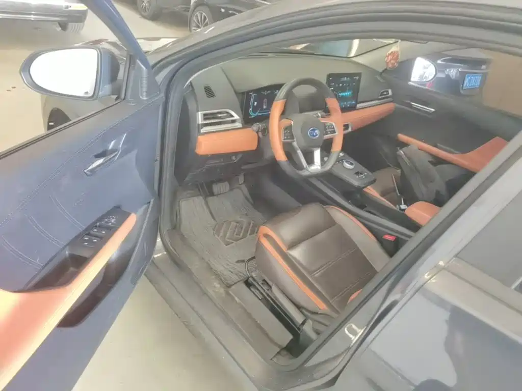 BYD e2 — миниатюра 16
