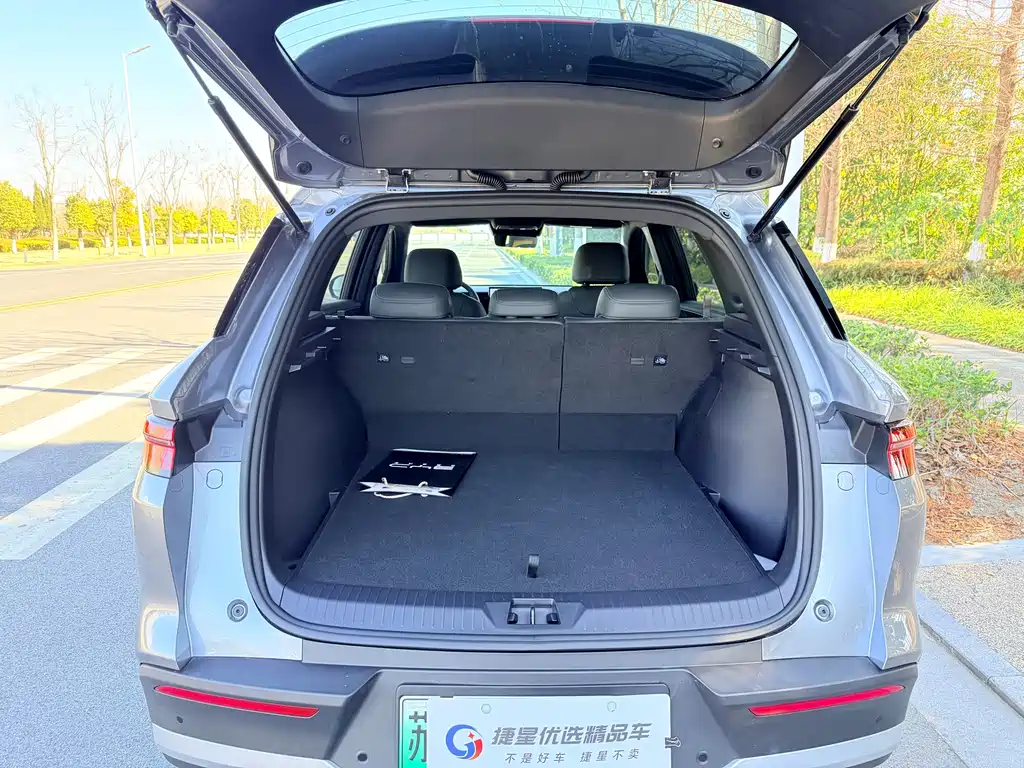 BYD SONGJIANG NEW ENERGY