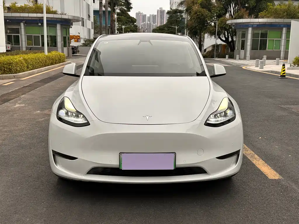 Tesla Model Y — миниатюра 2