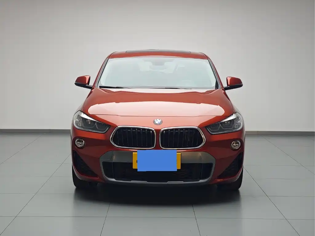 BMW X2 (Import) — миниатюра 2