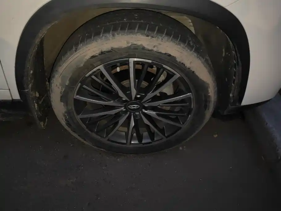 Chery Tiggo 8 PLUS — миниатюра 6