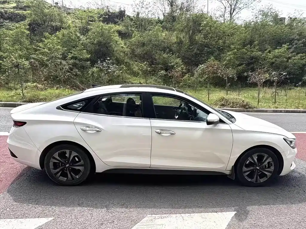 Hyundai Fista — миниатюра 8