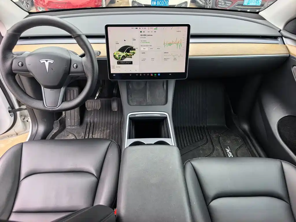 Tesla Model Y — миниатюра 11