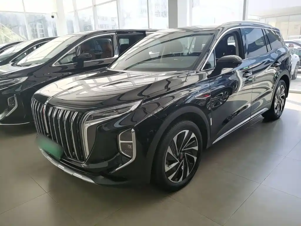 Hongqi Hongqi HS7 PHEV — миниатюра 2