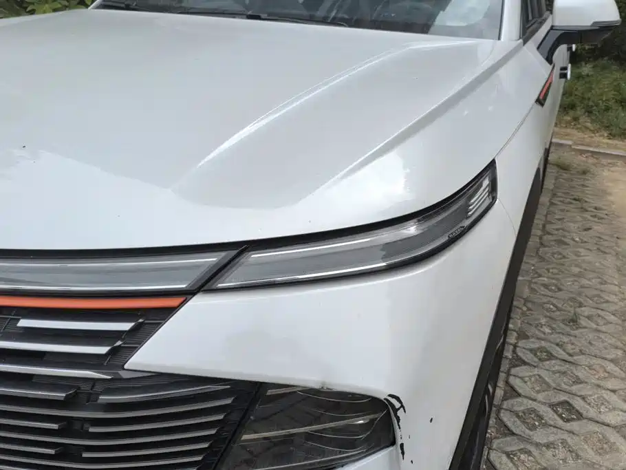 Haval Shenshou — миниатюра 5