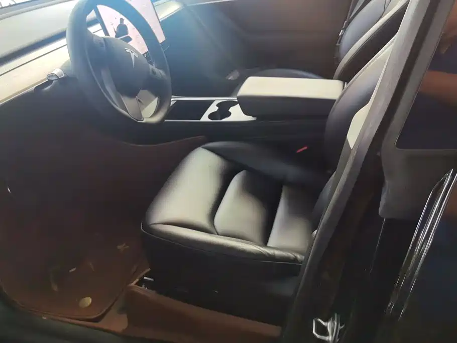 Tesla Model Y — миниатюра 9