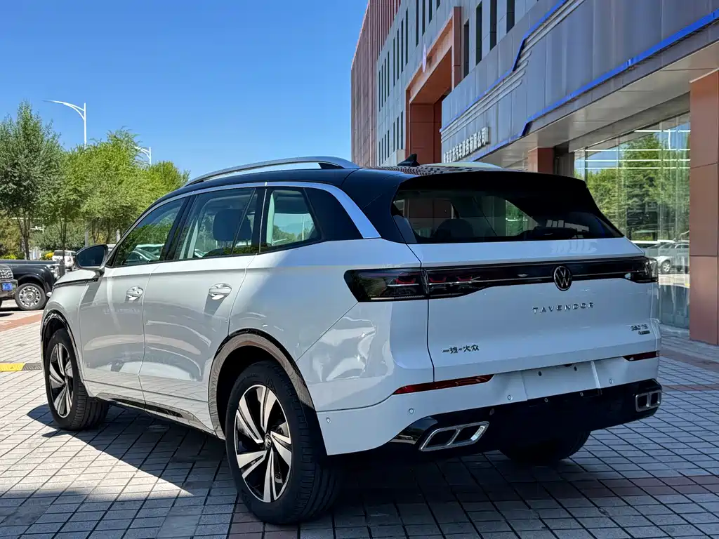 Volkswagen Tavendor — миниатюра 18