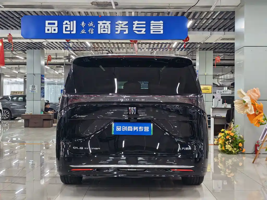 Buick Electra Encasa — миниатюра 8