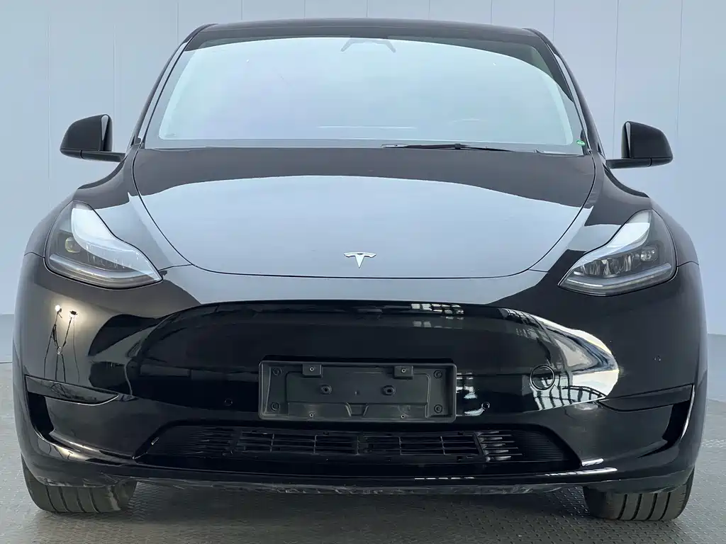 Tesla Model Y — миниатюра 2