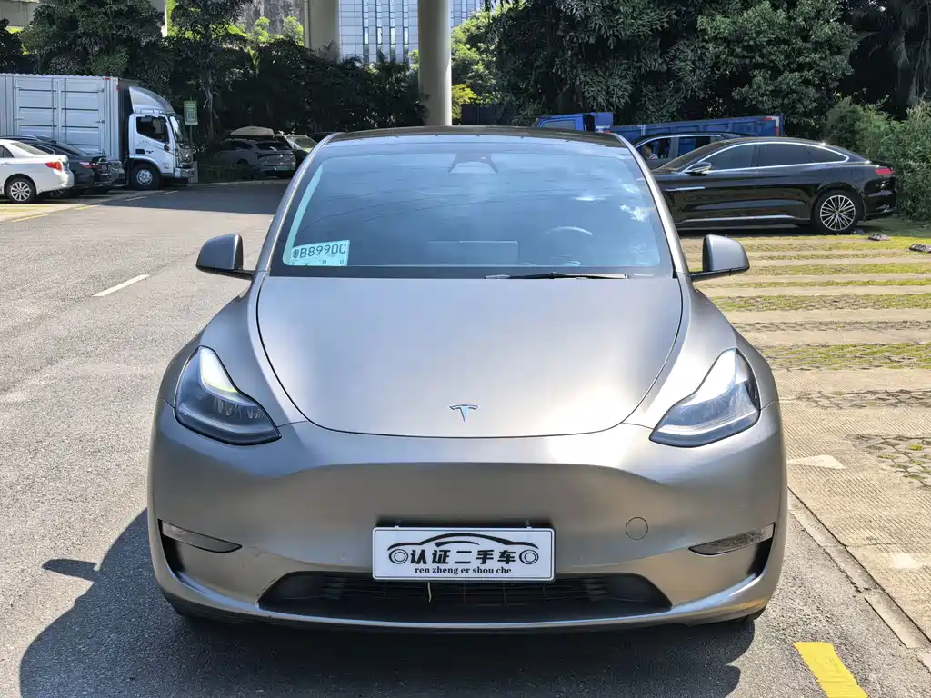 Tesla Model Y — миниатюра 2