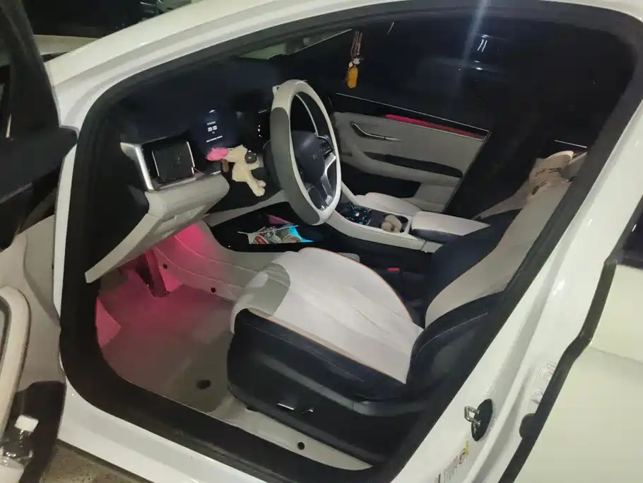 BYD PLUS New Energy — миниатюра 9