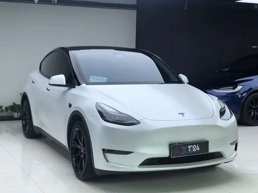 Tesla Model Y — миниатюра 3