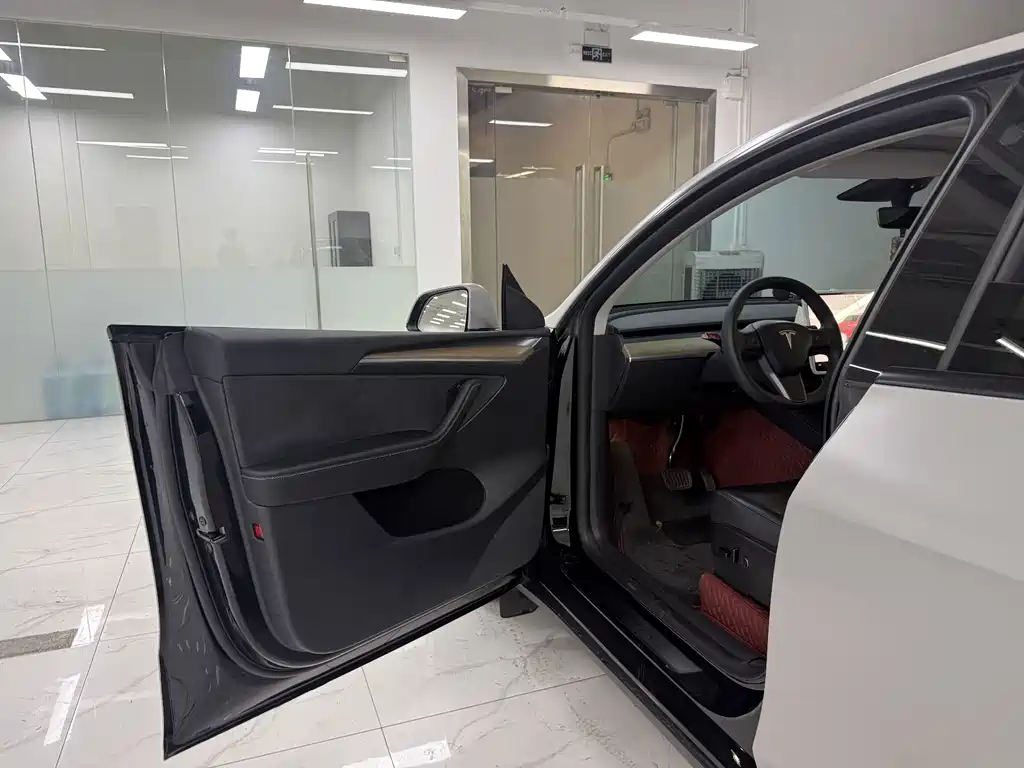 Tesla Model Y — миниатюра 8