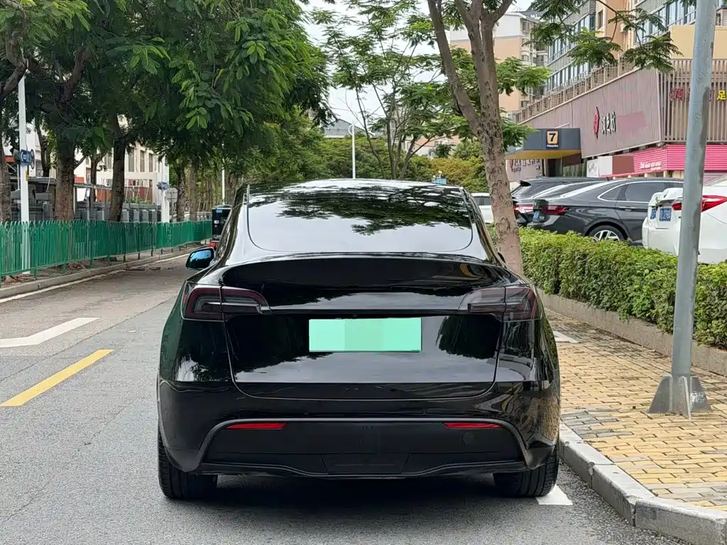 Tesla Model Y — миниатюра 14