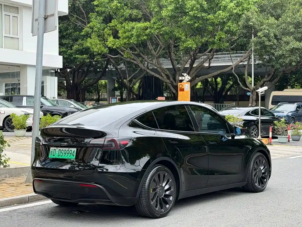 Tesla Model Y — миниатюра 15