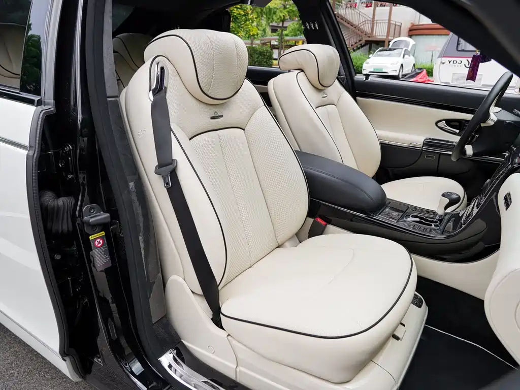 Maybach Maybach — миниатюра 10