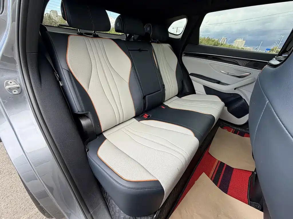BYD PLUS — миниатюра 14
