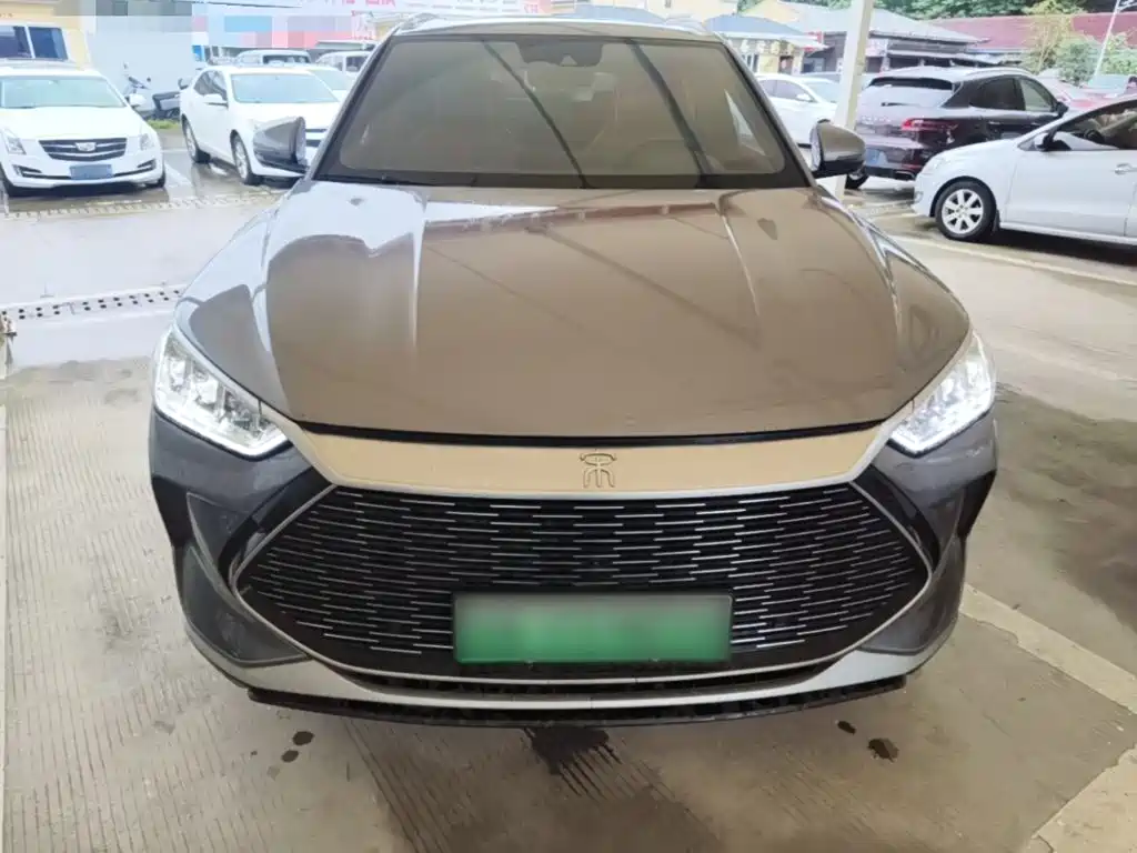 BYD PLUS New Energy — миниатюра 3