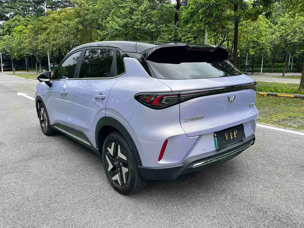 Wuling BinguoS S 2025 430km Flagship
