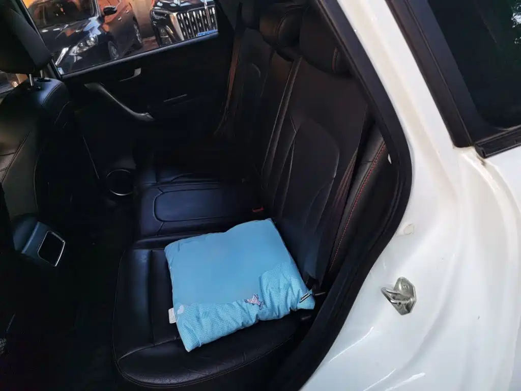 Haval H6 — миниатюра 18