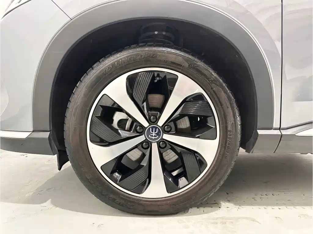 BYD PLUS New Energy — миниатюра 14