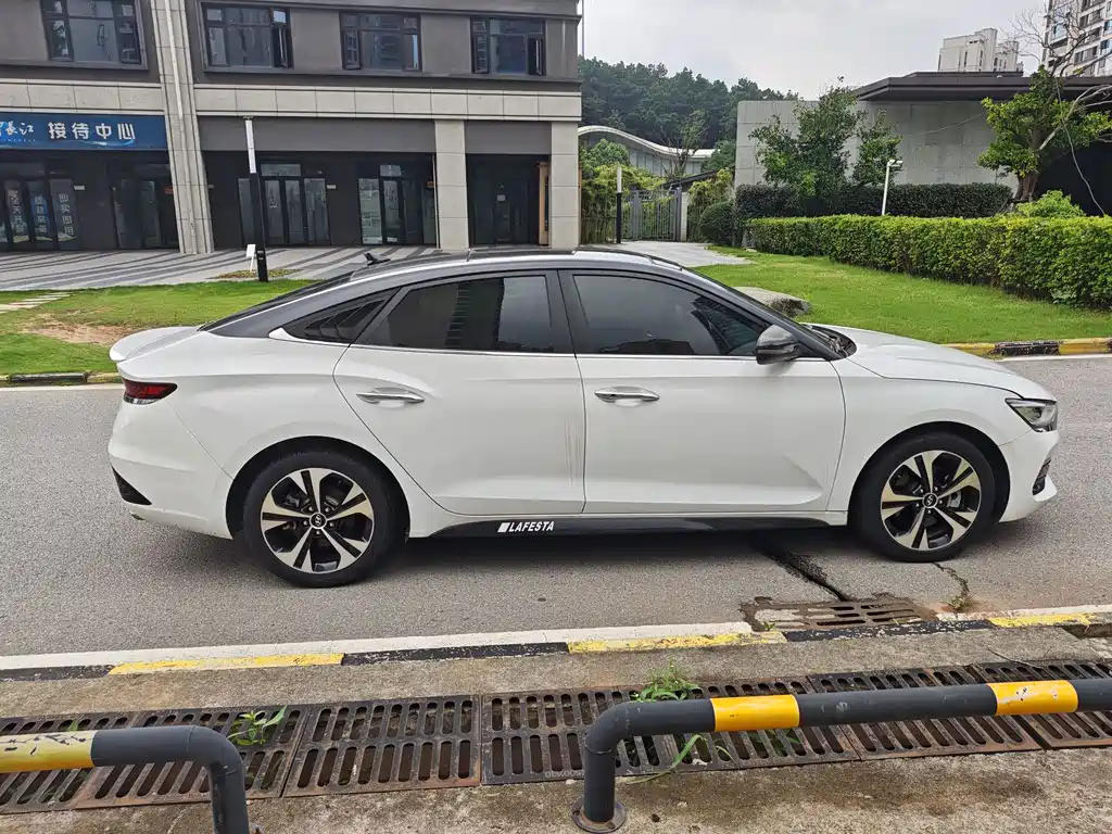 Hyundai Fista — миниатюра 8