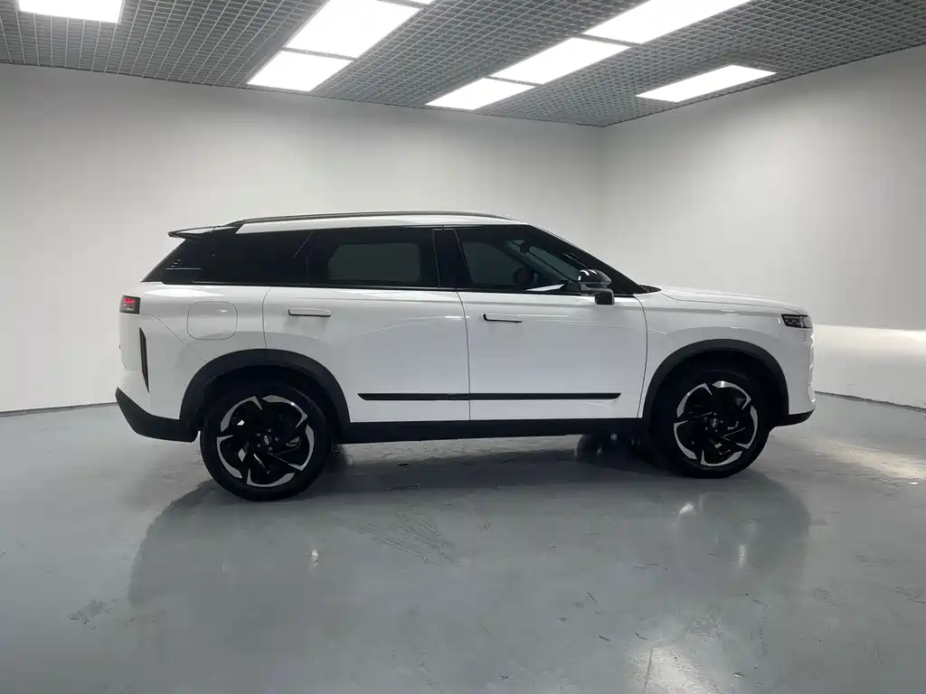 Chery C-DM — миниатюра 6