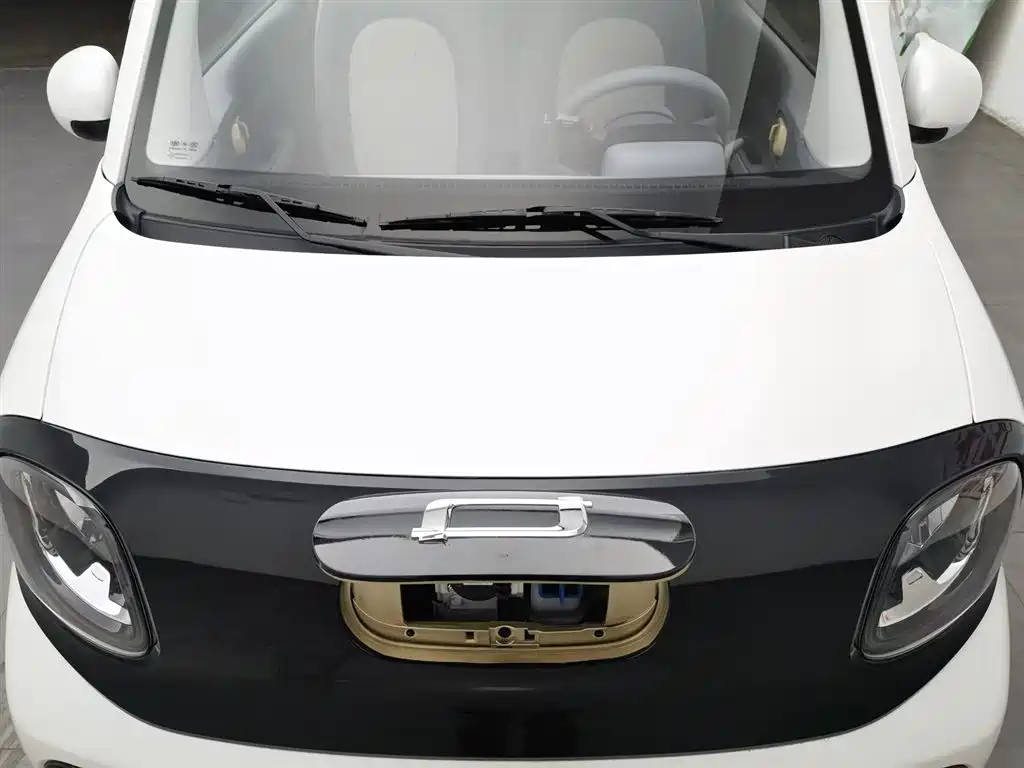 BESTUNE PENTIUM PONY