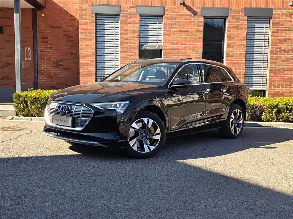 Audi e-tron (Import) 2022