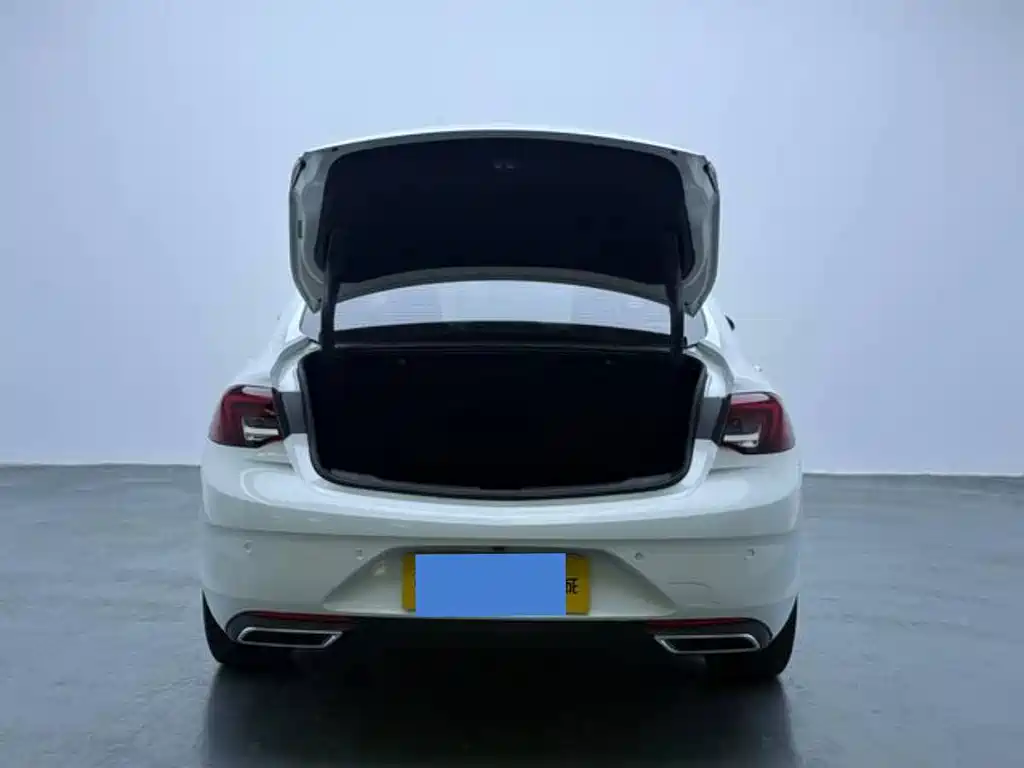 Buick Regal — миниатюра 17