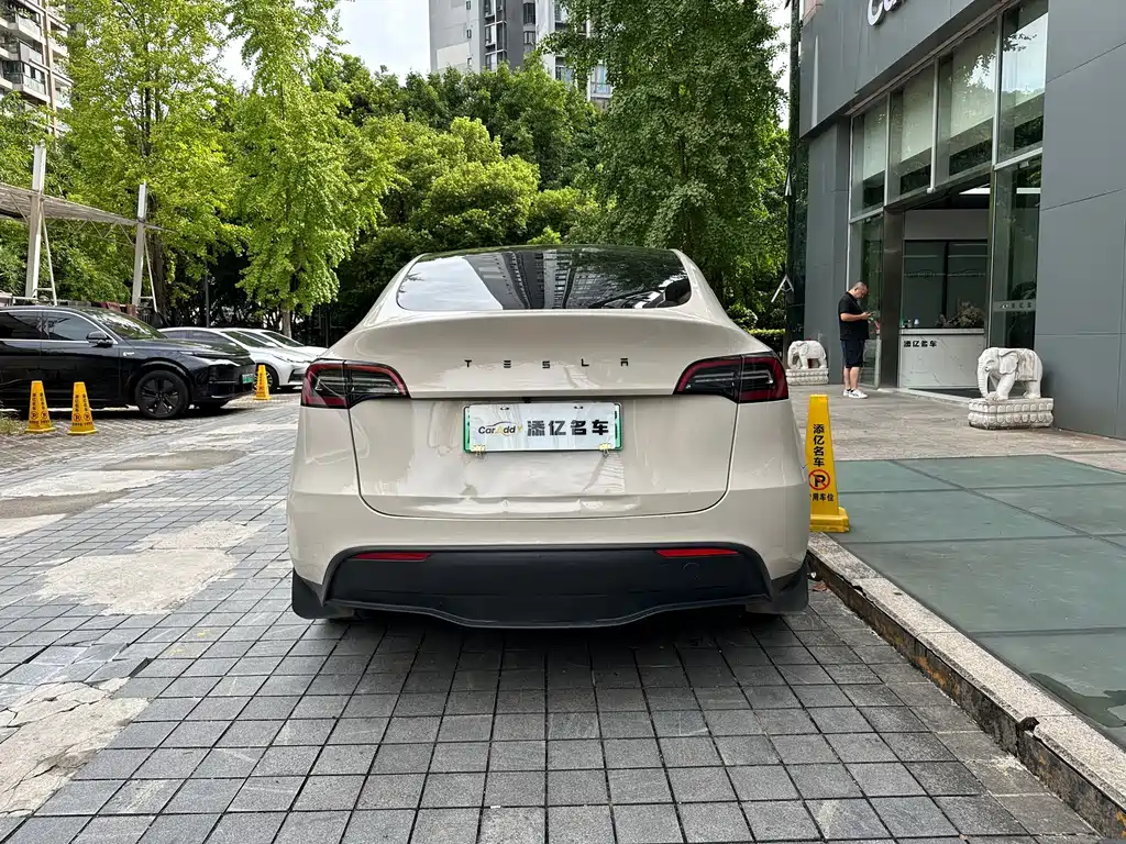 Tesla Model Y — миниатюра 7