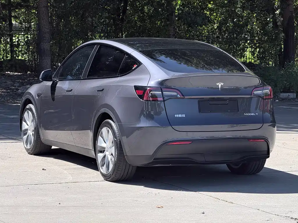 Tesla Model Y — миниатюра 4