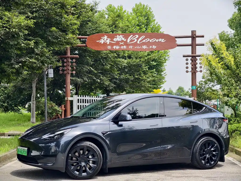 Tesla Model Y — миниатюра 2