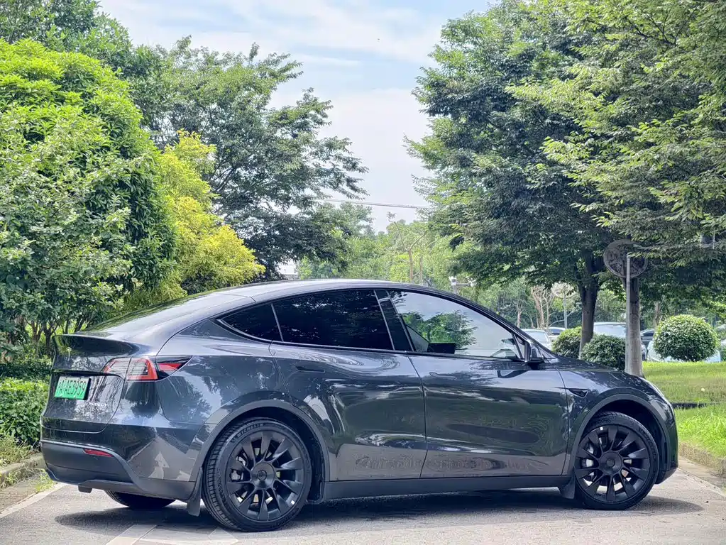 Tesla Model Y — миниатюра 4