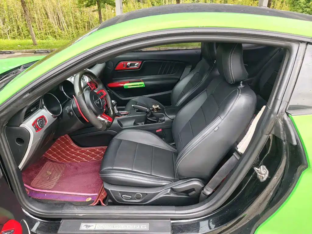 Ford Mustang — миниатюра 11