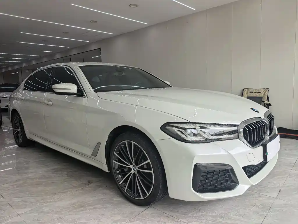 BMW 5 Series — миниатюра 3
