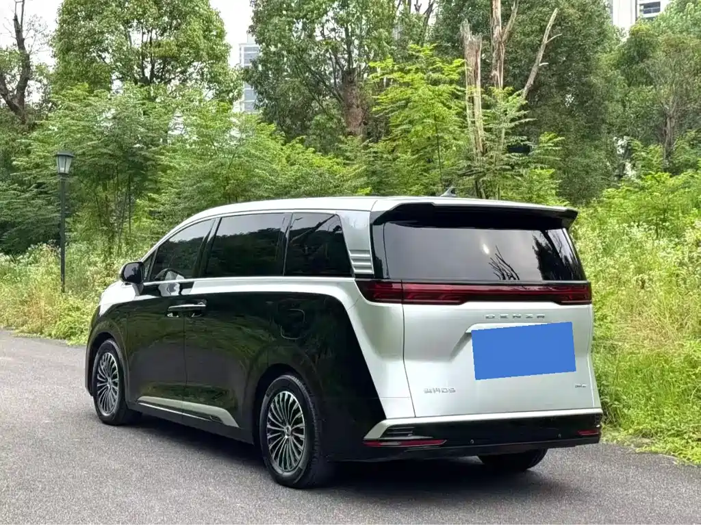 Denza Denza D9 — миниатюра 7