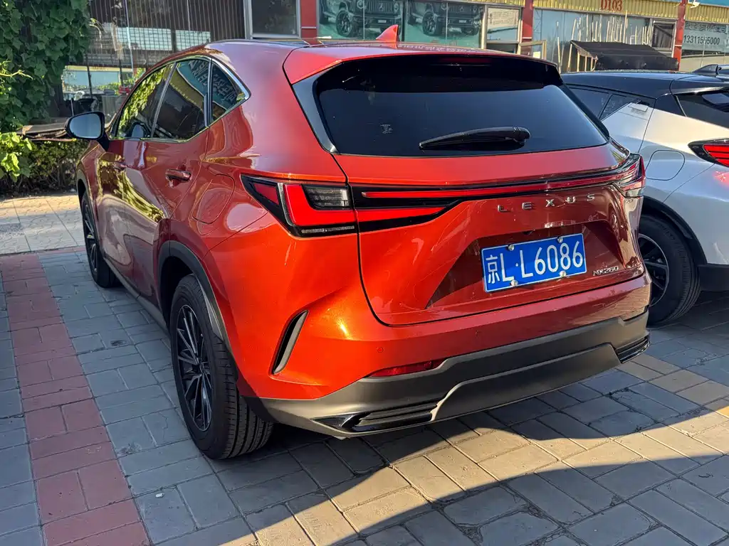 Lexus NX — миниатюра 16
